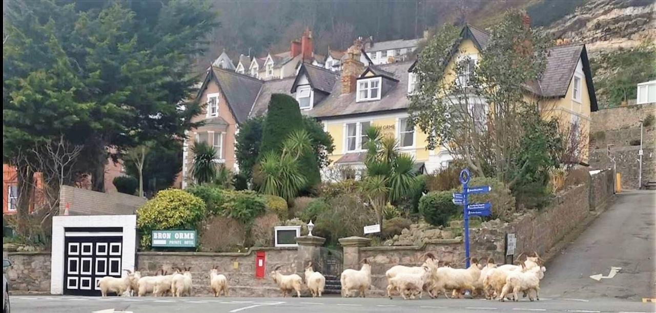 Bron Orme Private Hotel Llandudno Esterno foto